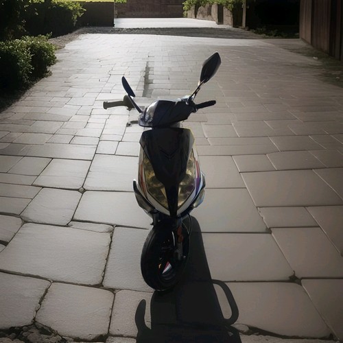 Longjia 50cc moped roller - longjia,